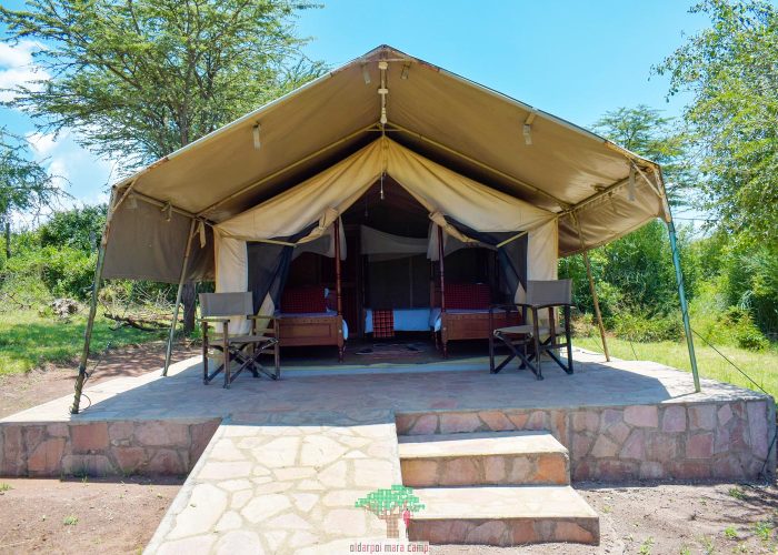 Accommodation - Oldarpoi Mara Camp